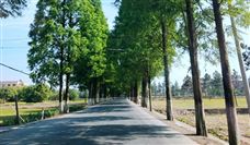 高等级公路改建应用3D摊铺技术，施工效率与精度实现双提升