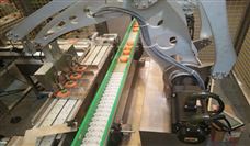 智能分选线与造楼机等创新项目投运，推动产业自动化与能源升级