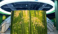 年度盘点：数字生活领域八大关键事件与行业趋势解析