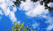 服务型制造示范平台建设路径与实践｜核心技巧全攻略