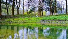 水资源配置工程需严守刚性约束｜实用指南