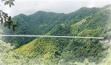 不惧高温“烤”验｜瓯江引水工程进度全攻略