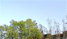 徐矿集团信息化赋能三大平台建设｜效率提升全攻略